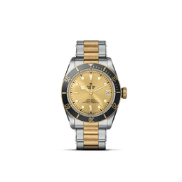 TUDOR Black Bay S&G