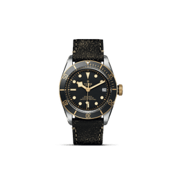 TUDOR Black Bay S&G