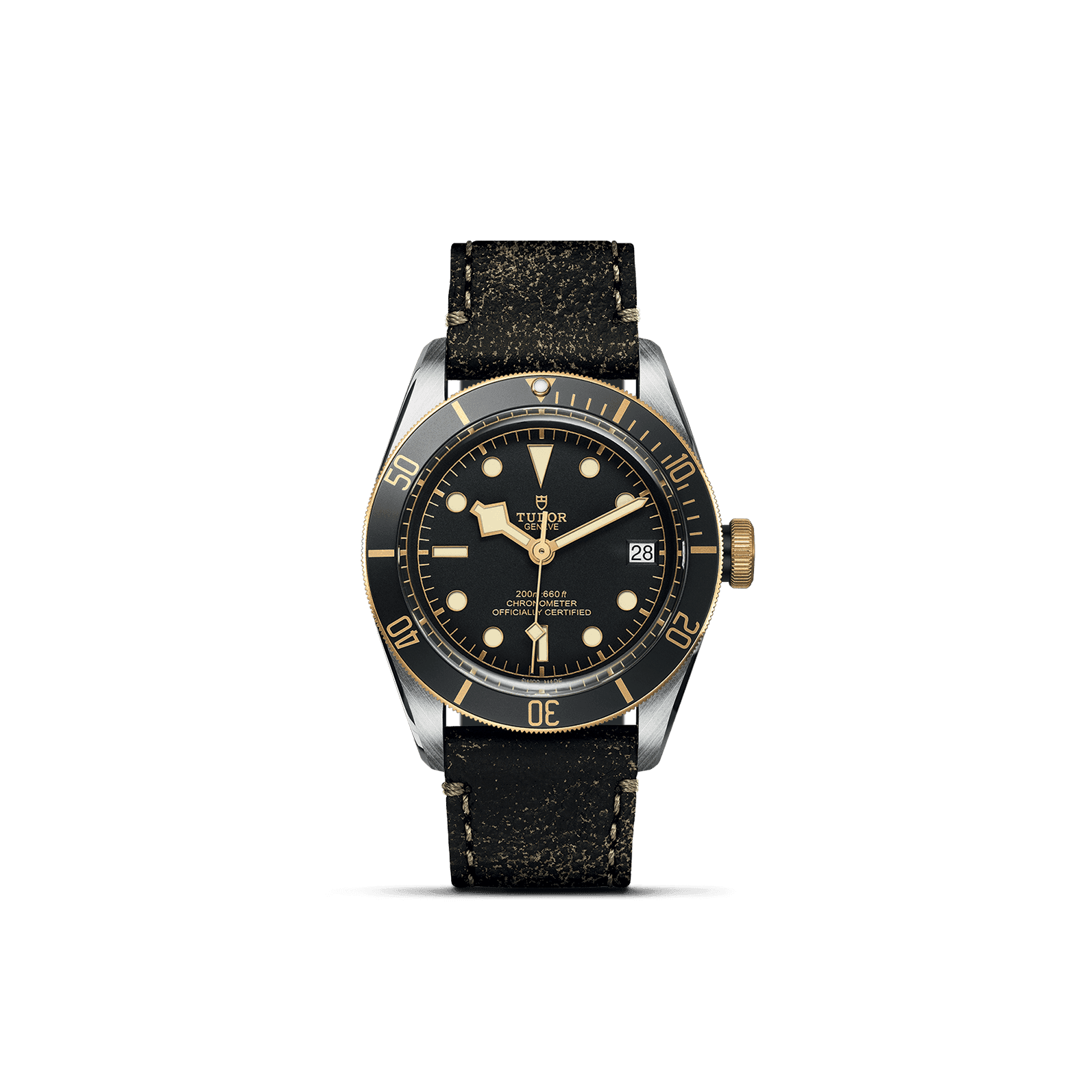 TUDOR Black Bay S&G 1