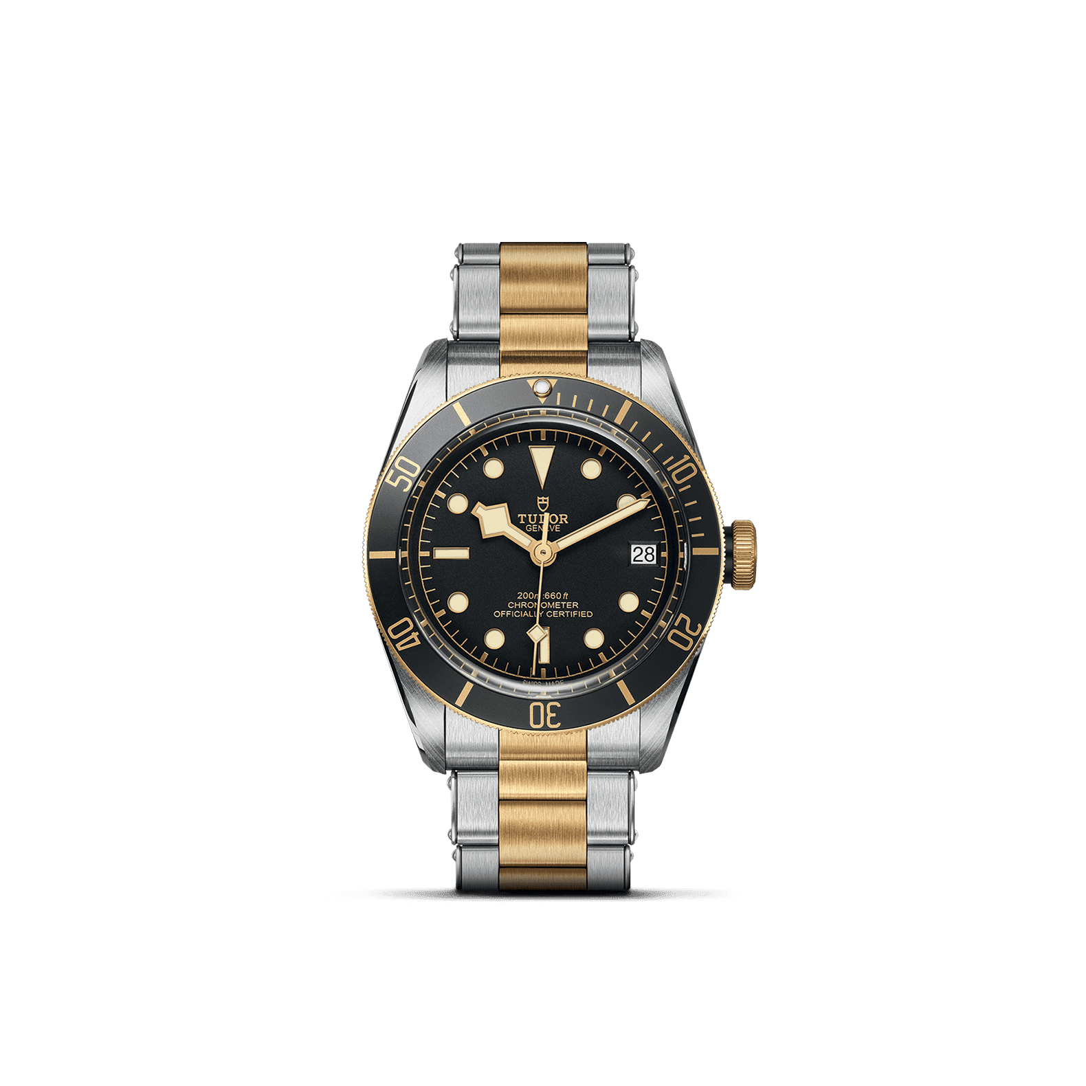 TUDOR Black Bay S&G 1