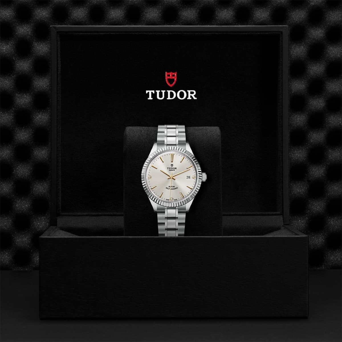 TUDOR Style