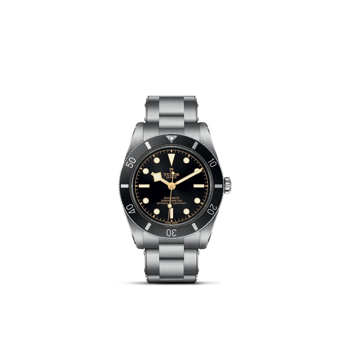 TUDOR Black Bay 54 1