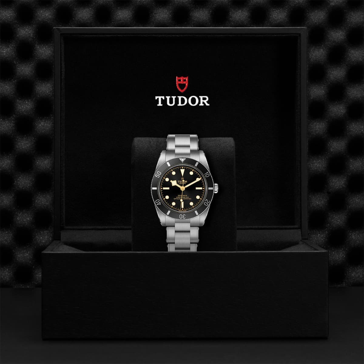 TUDOR Black Bay 54 4