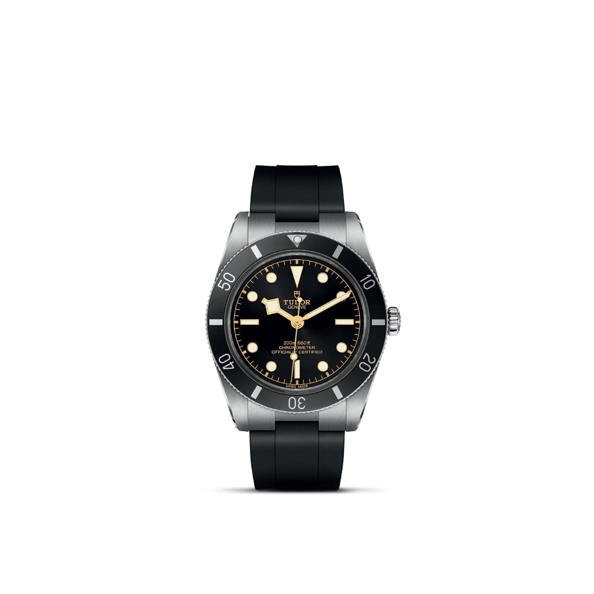 TUDOR Black Bay 54 1