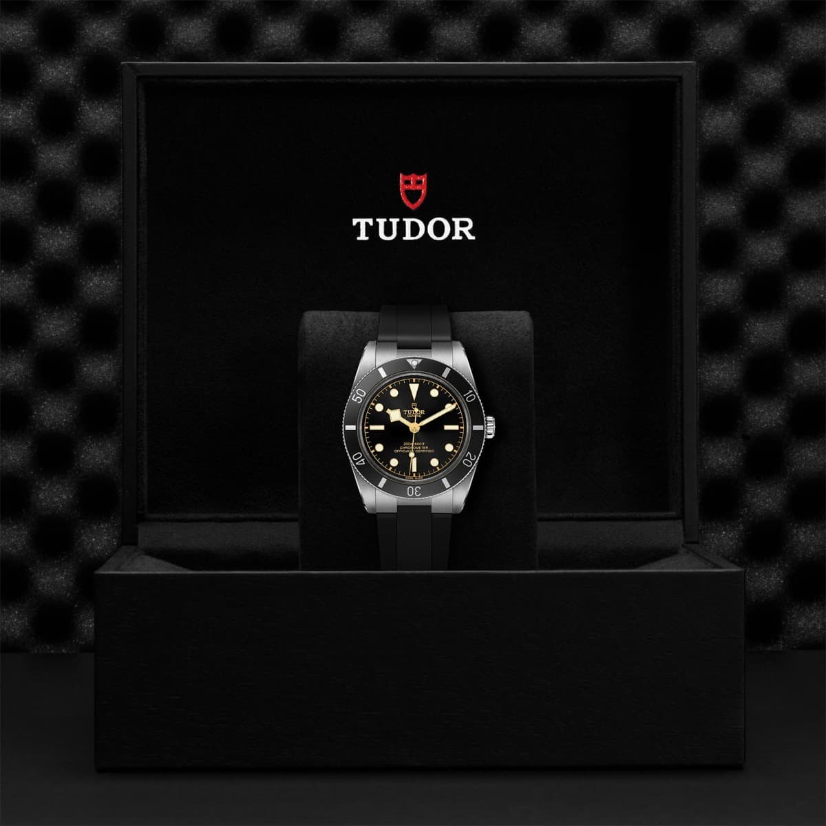 TUDOR Black Bay 54 4