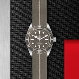 TUDOR Black Bay Fifty-Eight 925