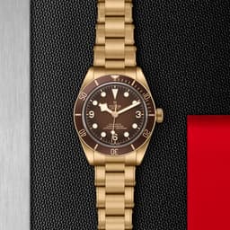 TUDOR Black Bay 58 Bronze