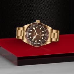 TUDOR Black Bay 58 Bronze