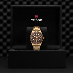 TUDOR Black Bay 58 Bronze
