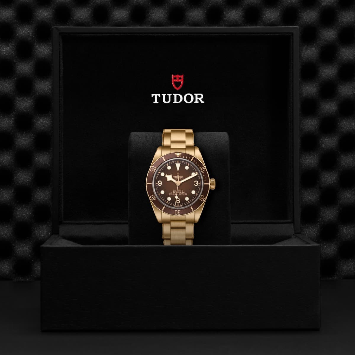 TUDOR Black Bay 58 Bronze 2