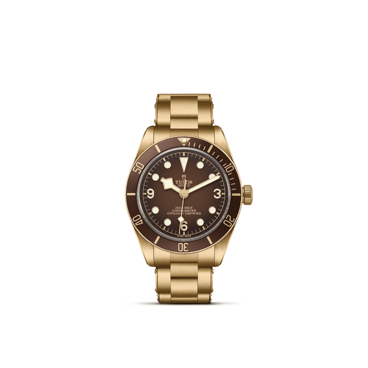 TUDOR Black Bay 58 Bronze 1