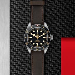 TUDOR Black Bay Fifty-Eight