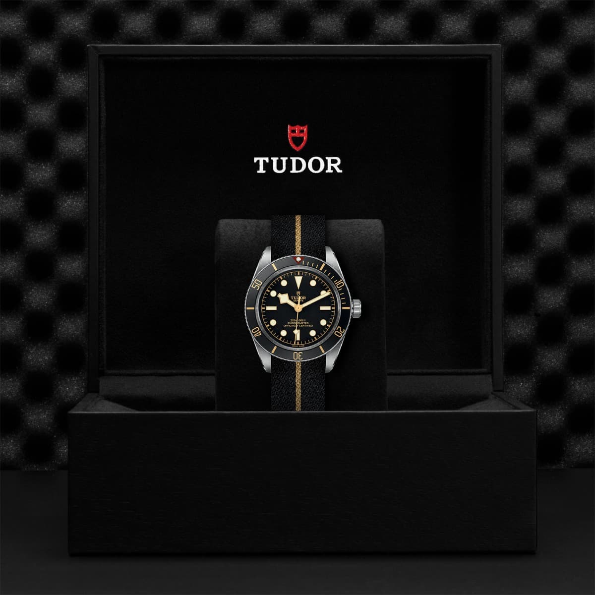 TUDOR Black Bay Fifty-Eight 2