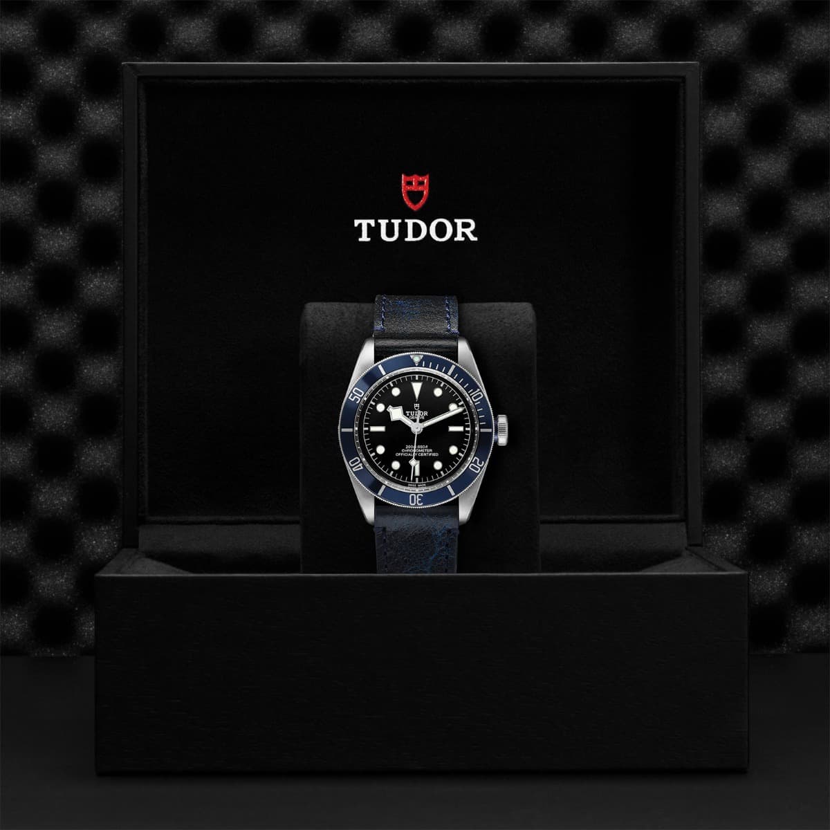 TUDOR Black Bay 2