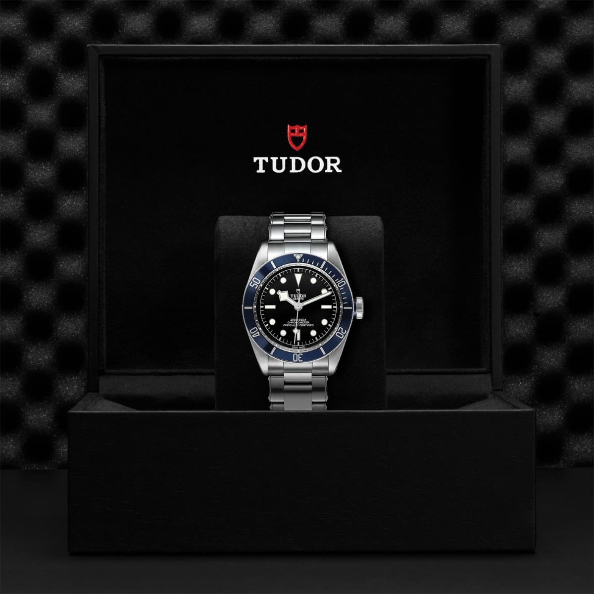 TUDOR Black Bay 2