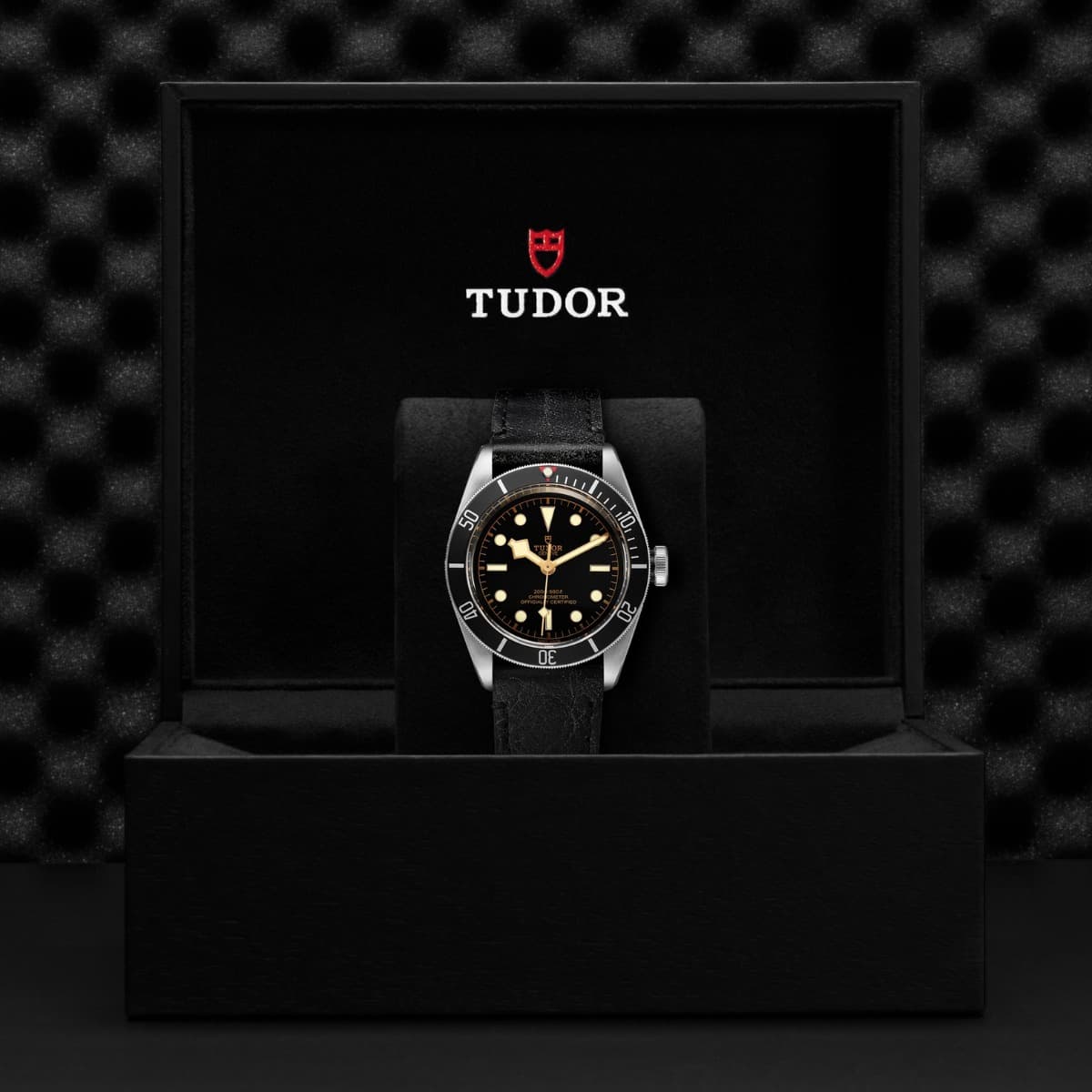 TUDOR Black Bay 4