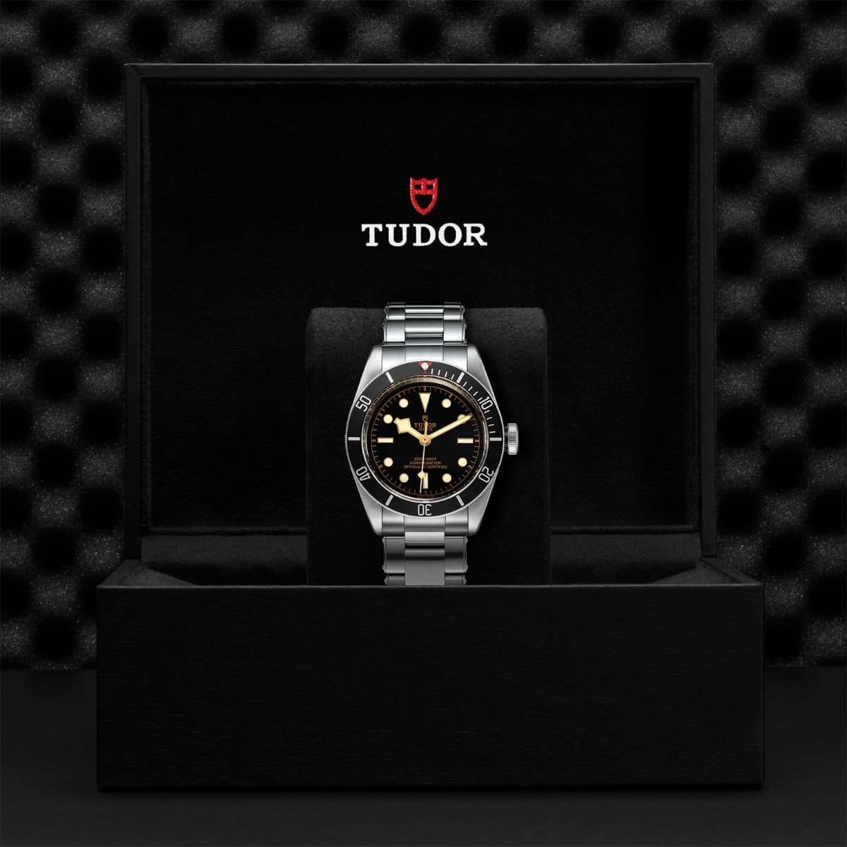 TUDOR Black Bay 2
