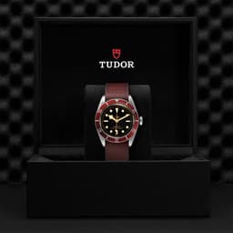 TUDOR Black Bay