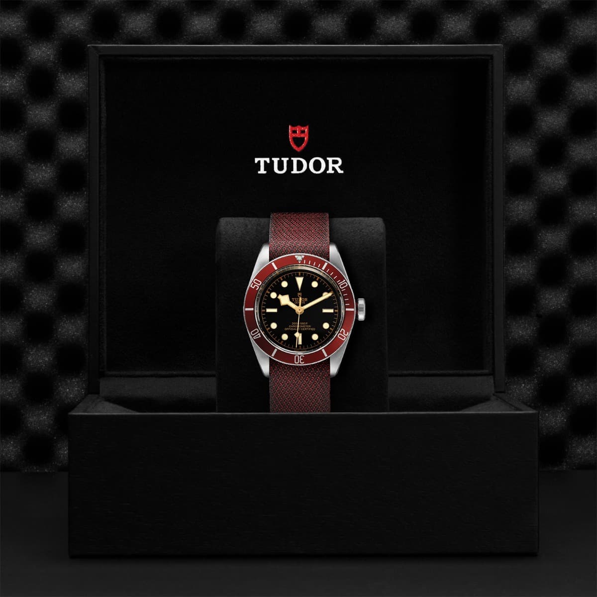 TUDOR Black Bay 2