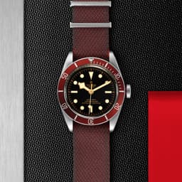 TUDOR Black Bay