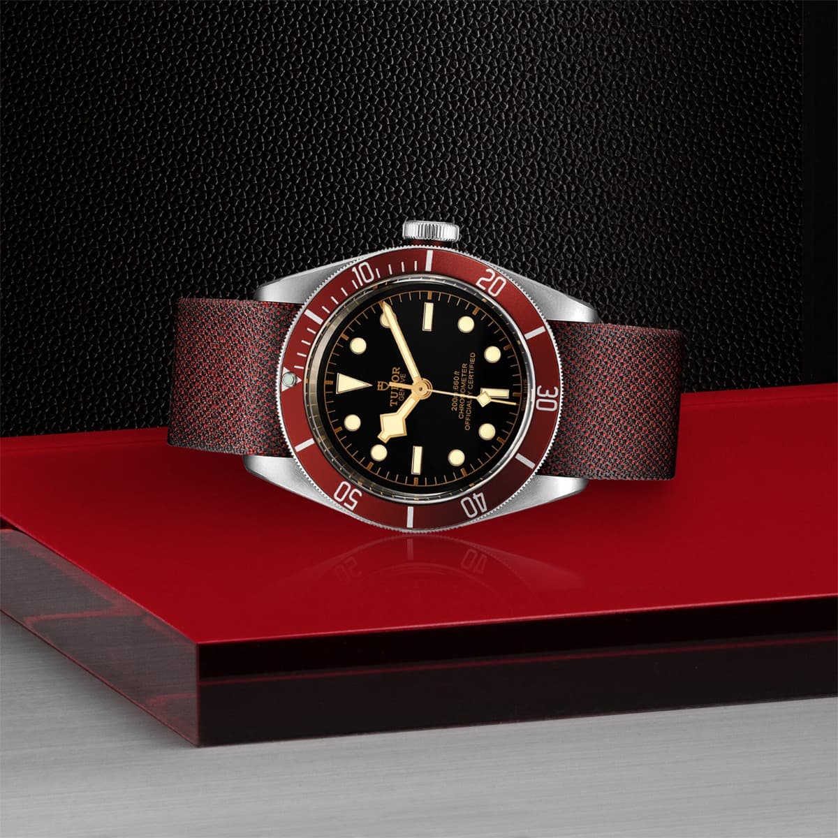 TUDOR Black Bay 4