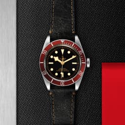 TUDOR Black Bay