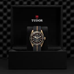 TUDOR Black Bay Bronze