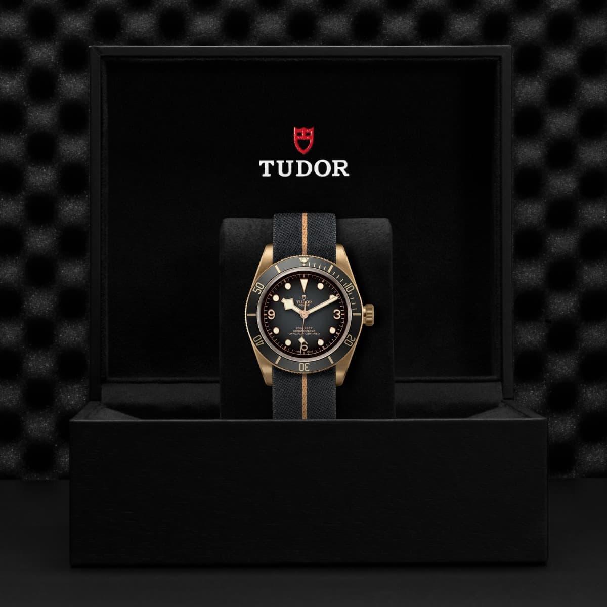 TUDOR Black Bay Bronze 2
