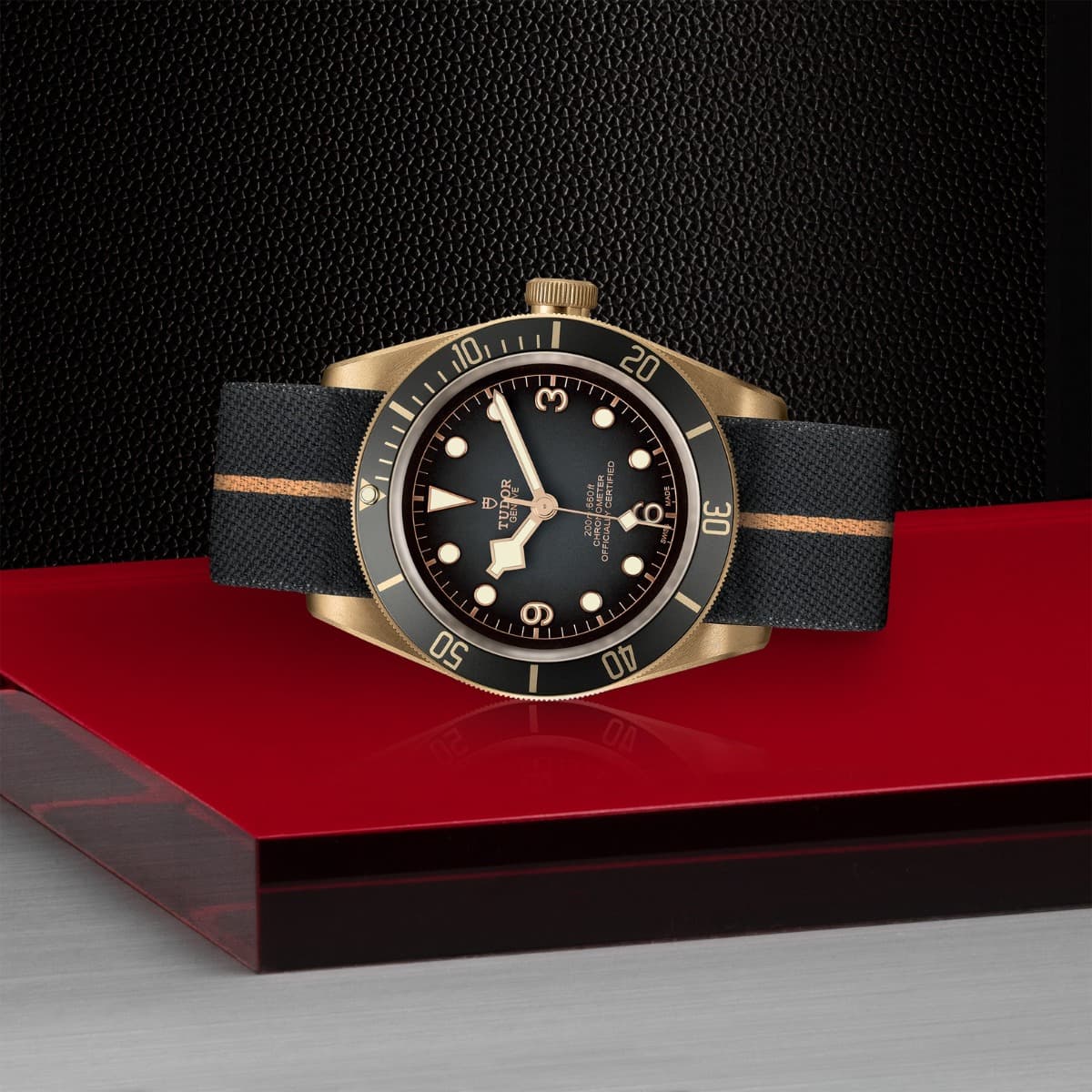 TUDOR Black Bay Bronze 3