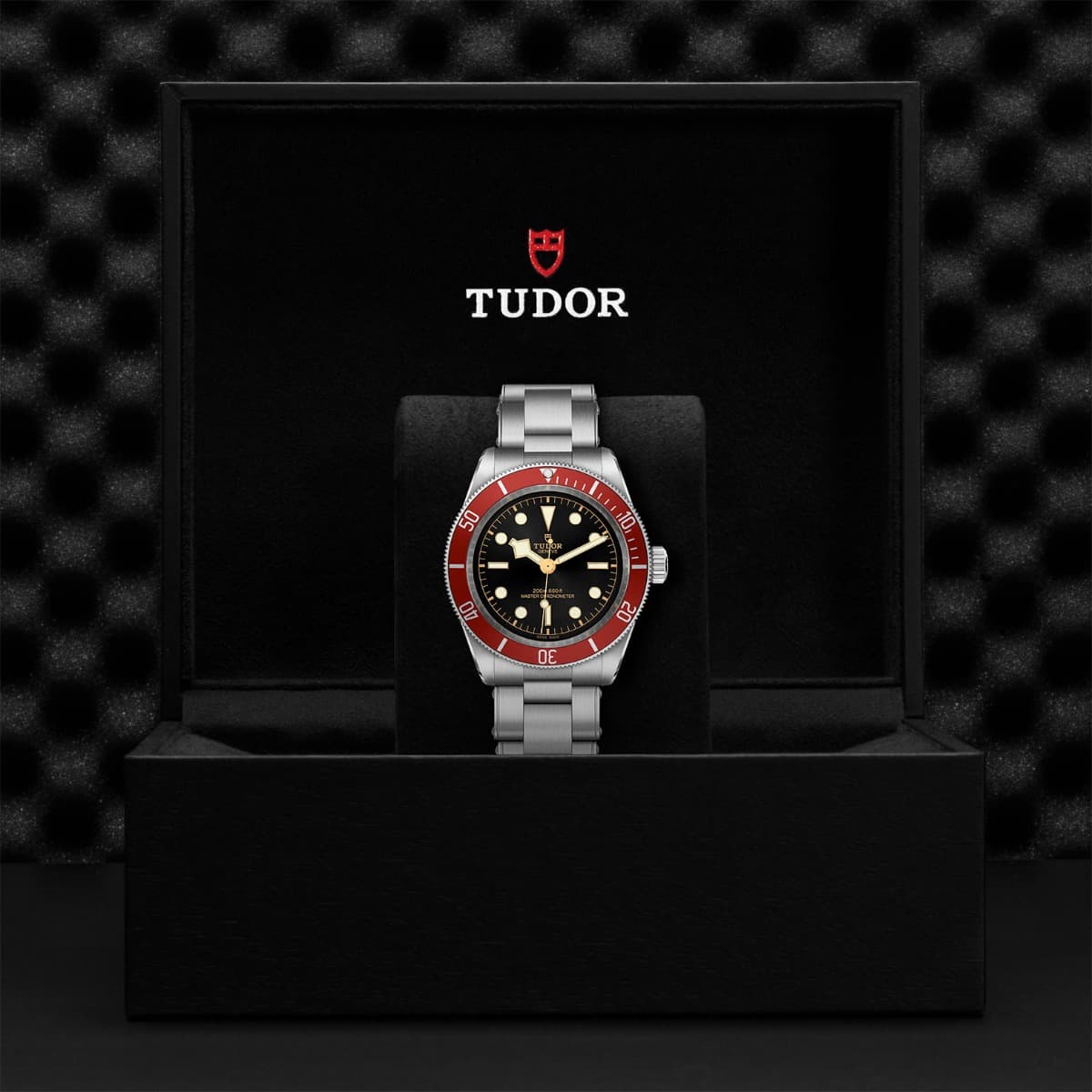 TUDOR Black Bay 4