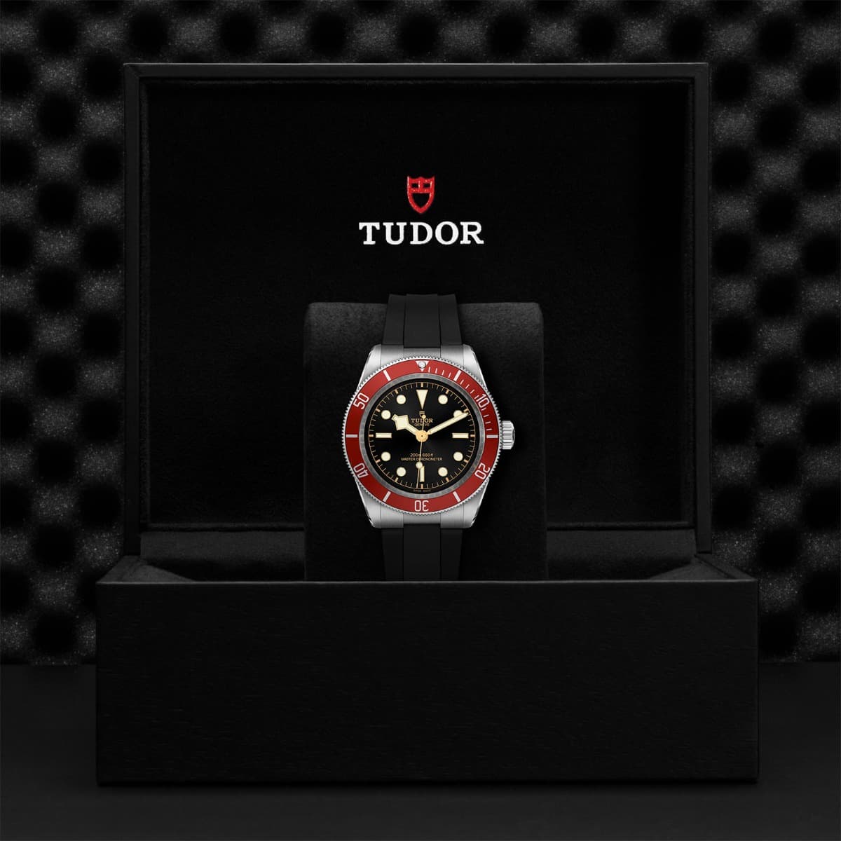 TUDOR Black Bay 2