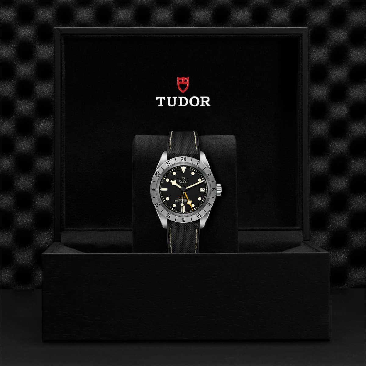 TUDOR Black Bay Pro 2