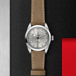 TUDOR Black Bay 36