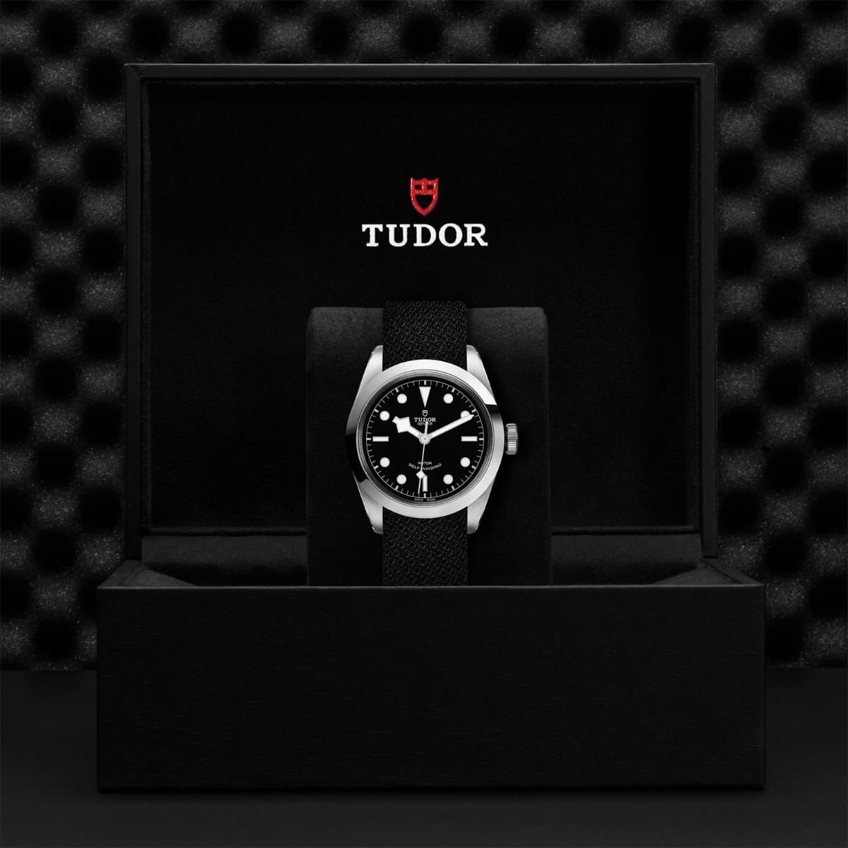 TUDOR Black Bay 41 2