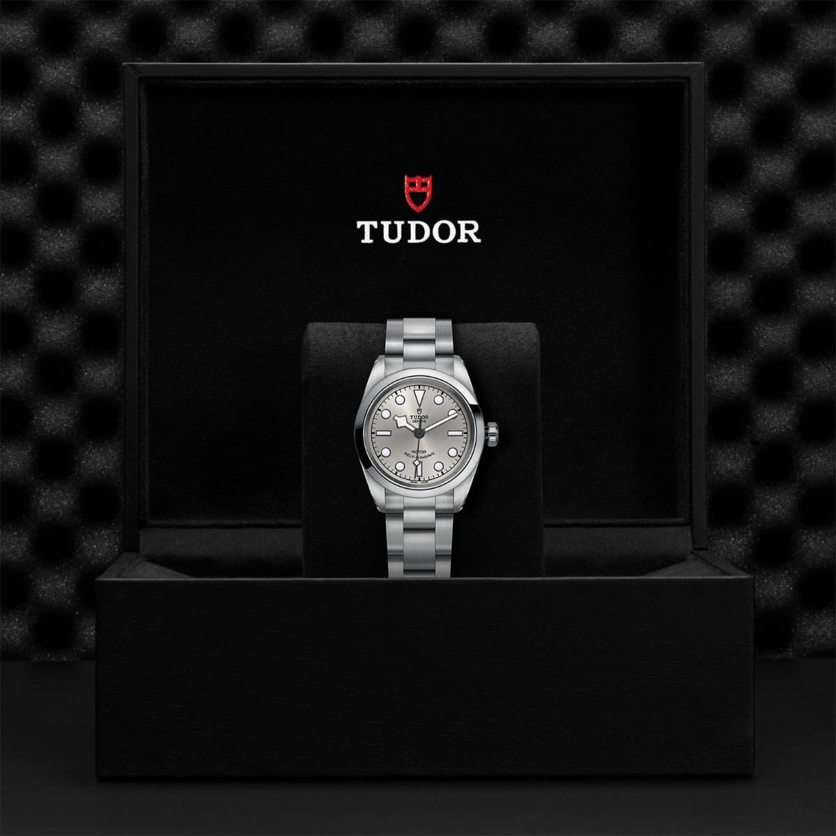 TUDOR Black Bay 32