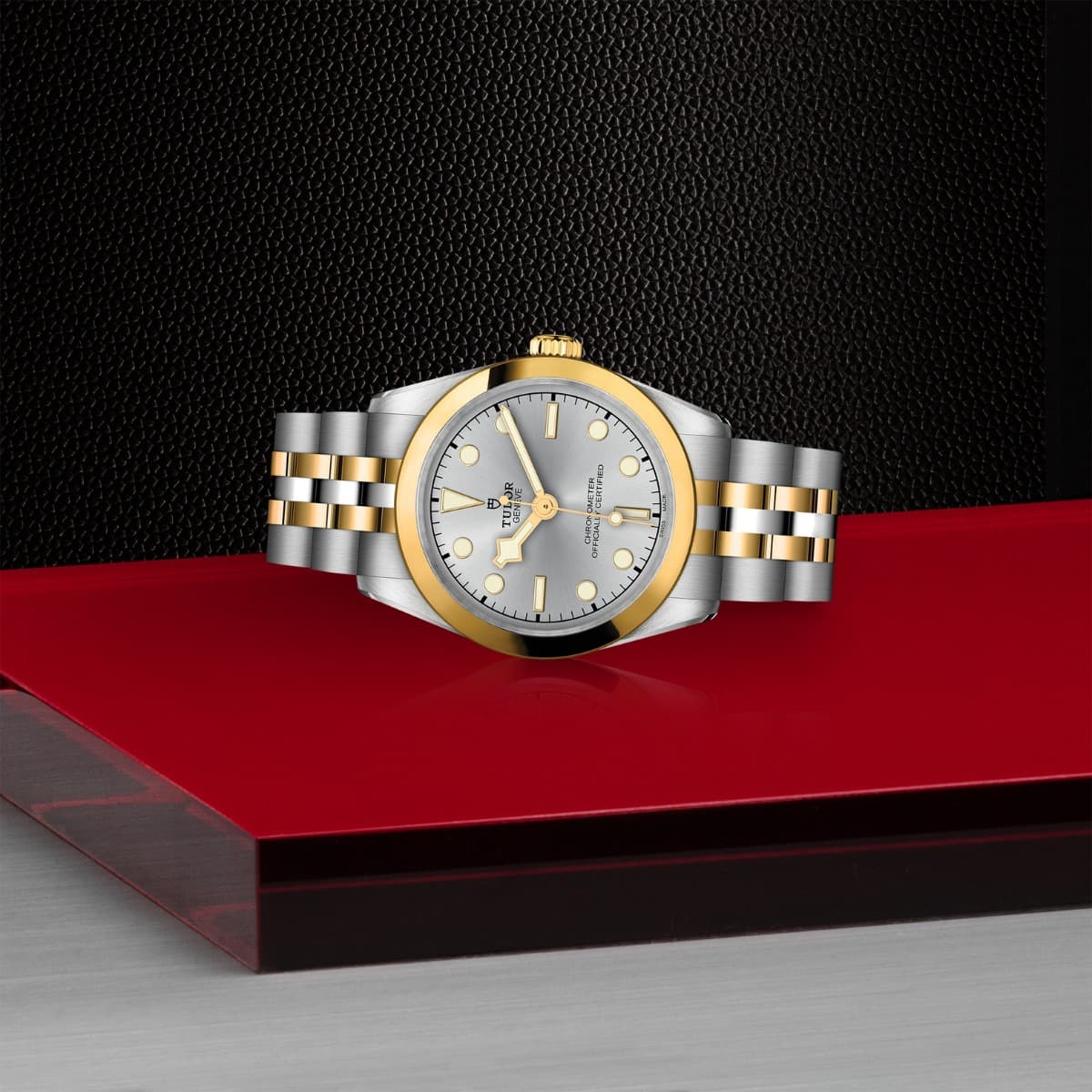 TUDOR Black Bay 31 S&G 2