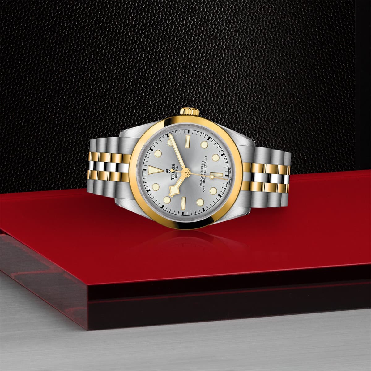 TUDOR Black Bay 36 S&G 2