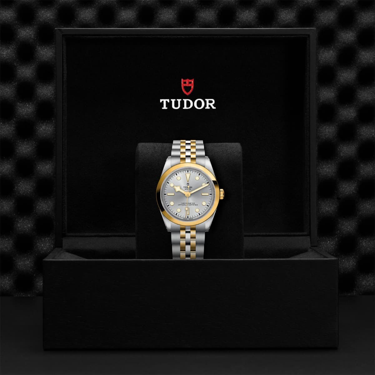 TUDOR Black Bay 36 S&G 4
