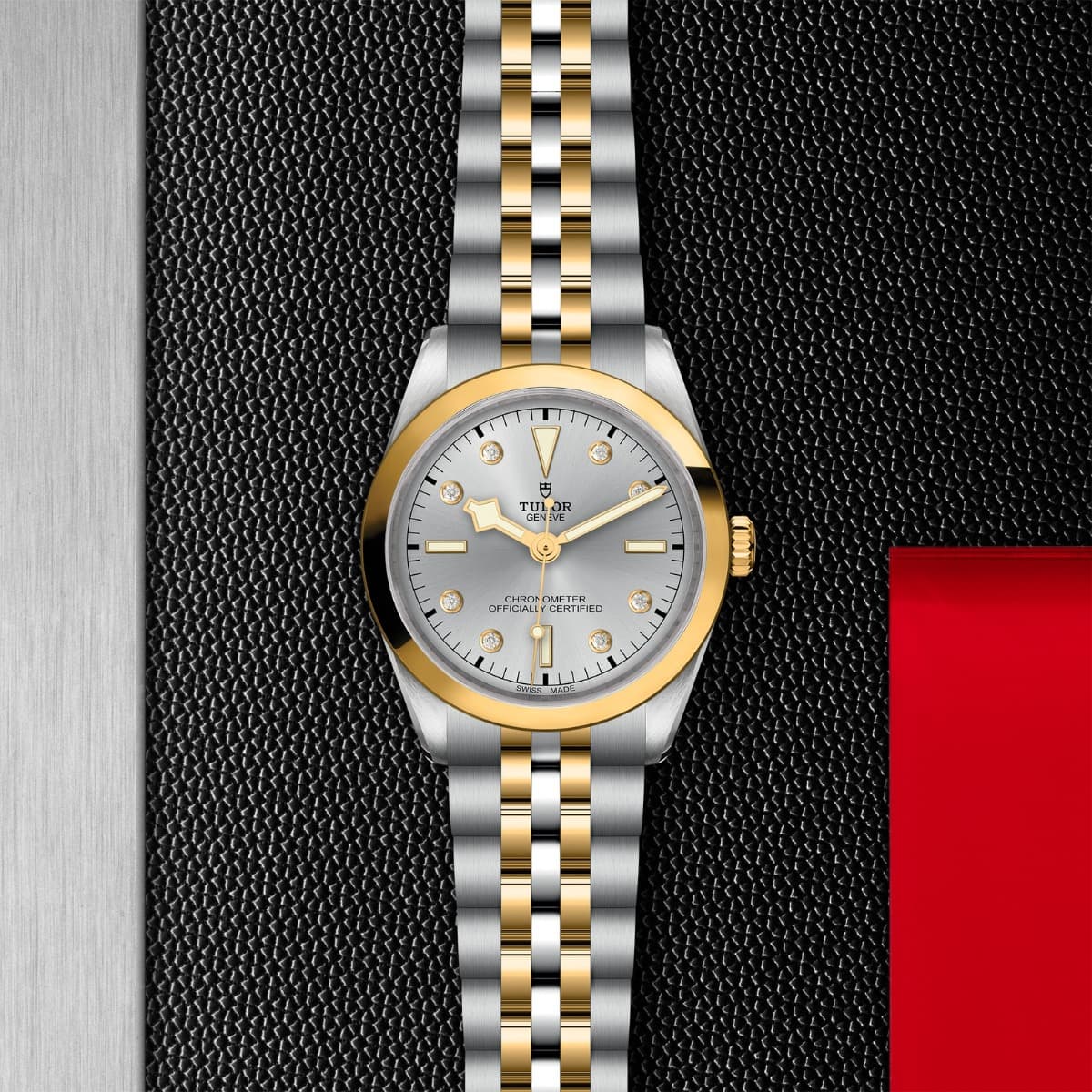 TUDOR Black Bay 36 S&G 4