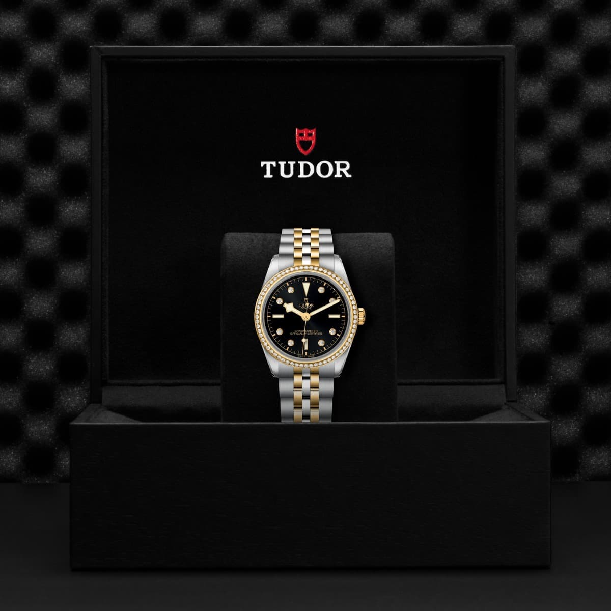 TUDOR Black Bay 36 S&G 2