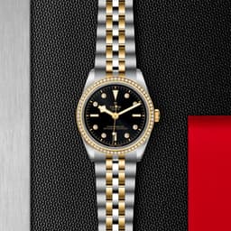 TUDOR Black Bay 36 S&G