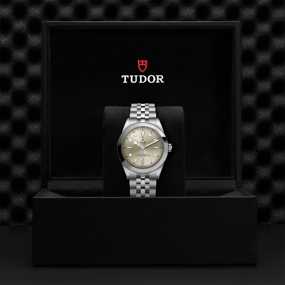 TUDOR Black Bay 39 4