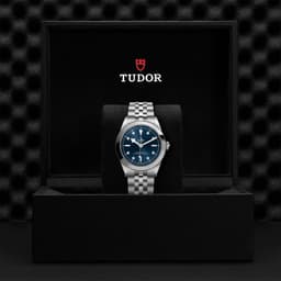 TUDOR Black Bay 39