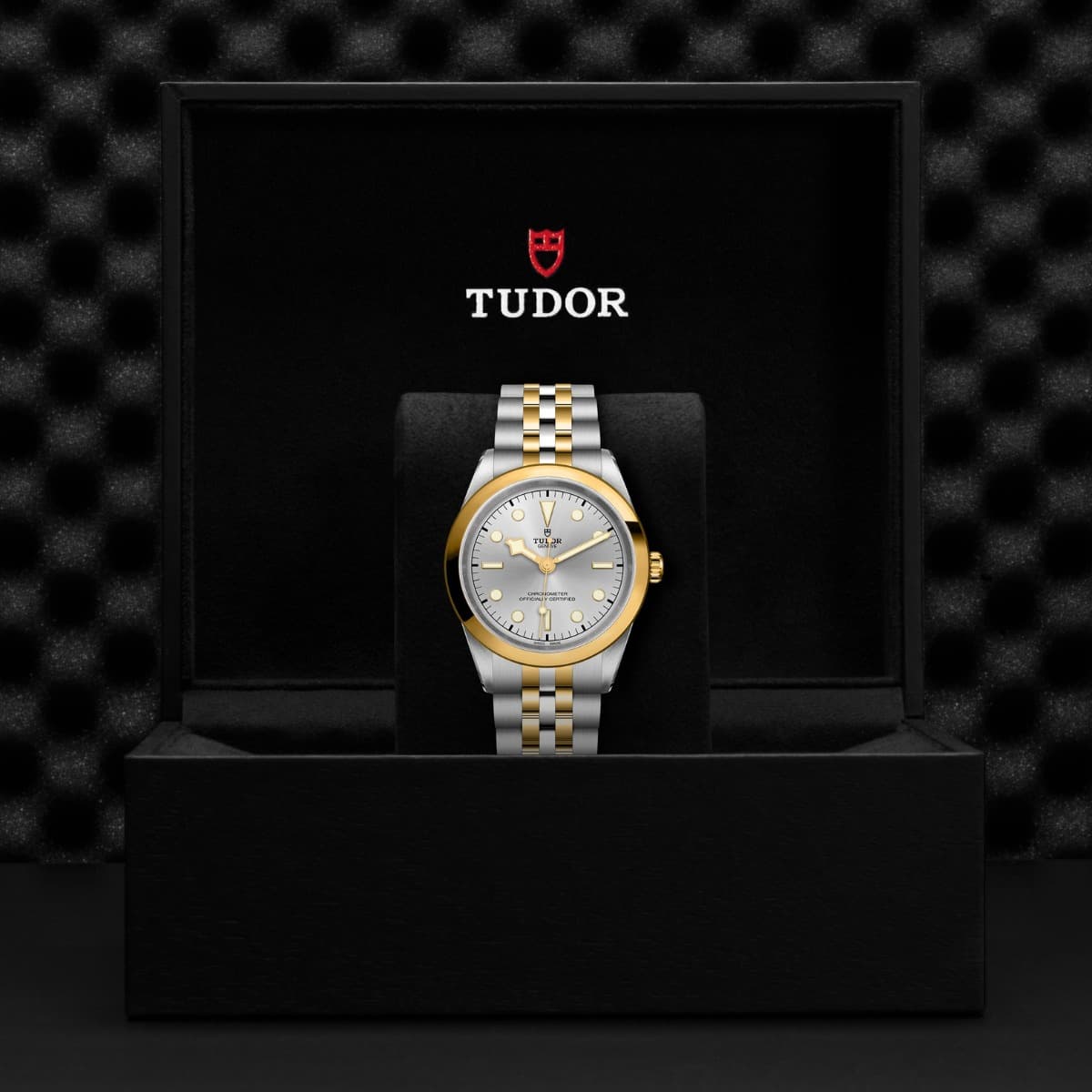 TUDOR Black Bay 41 S&G 4