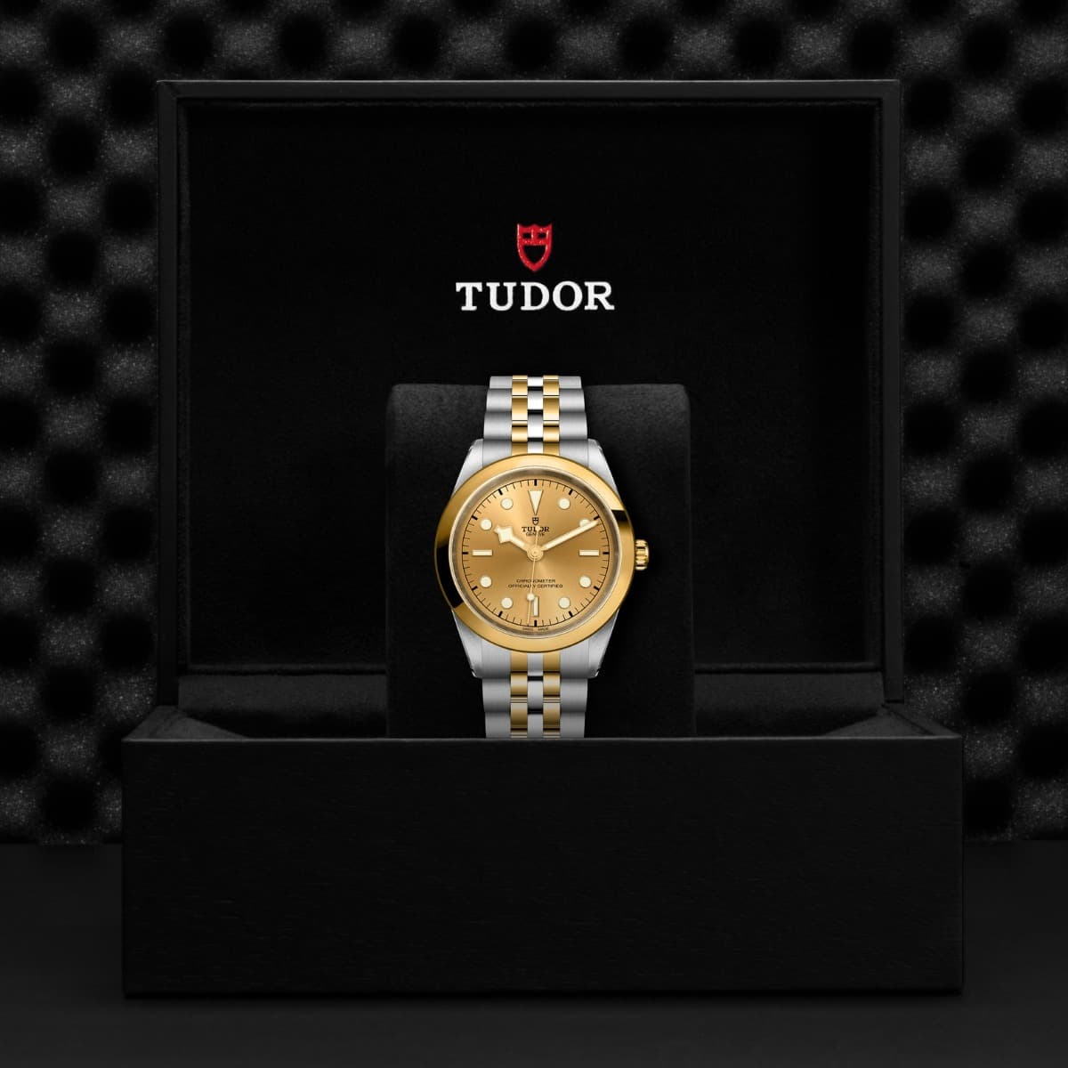 TUDOR Black Bay 41 S&G 2
