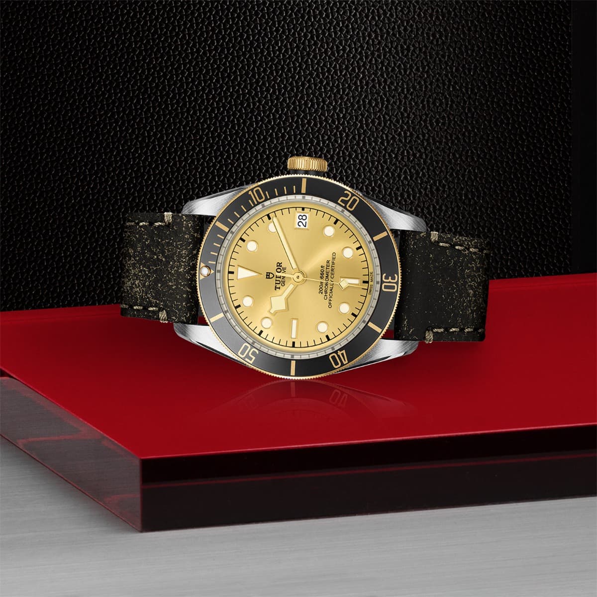 TUDOR Black Bay S&G 3