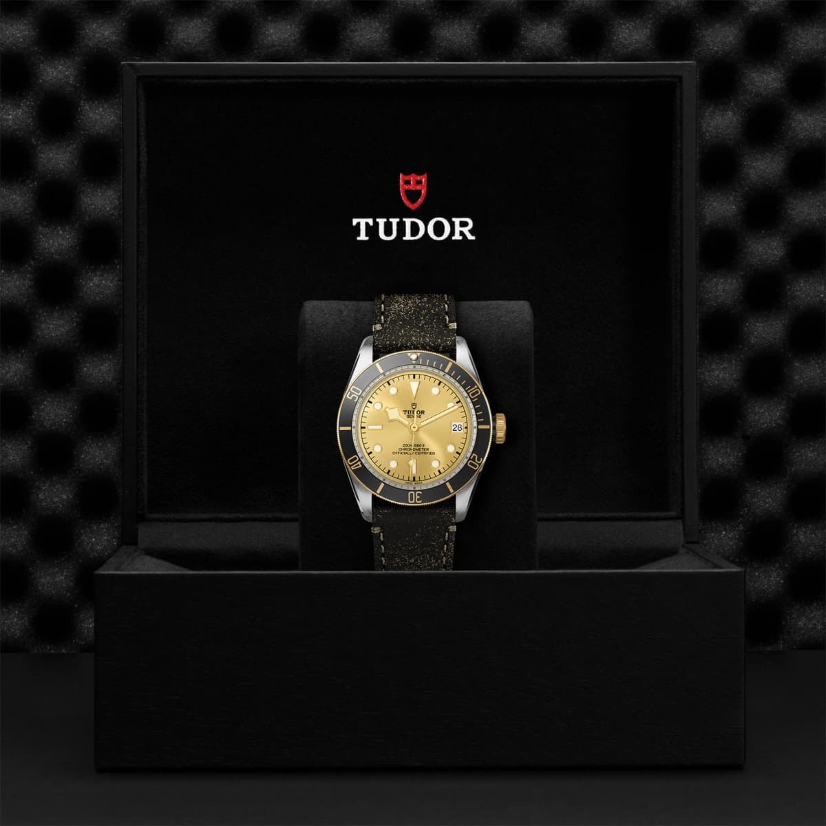 TUDOR Black Bay S&G 4