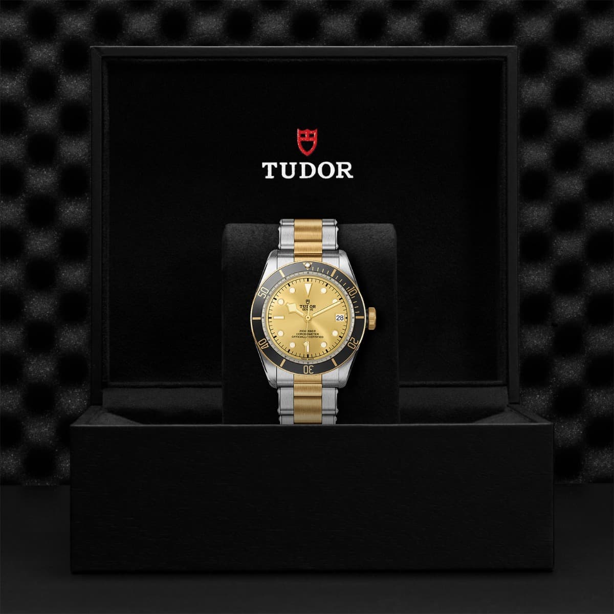 TUDOR Black Bay S&G 2
