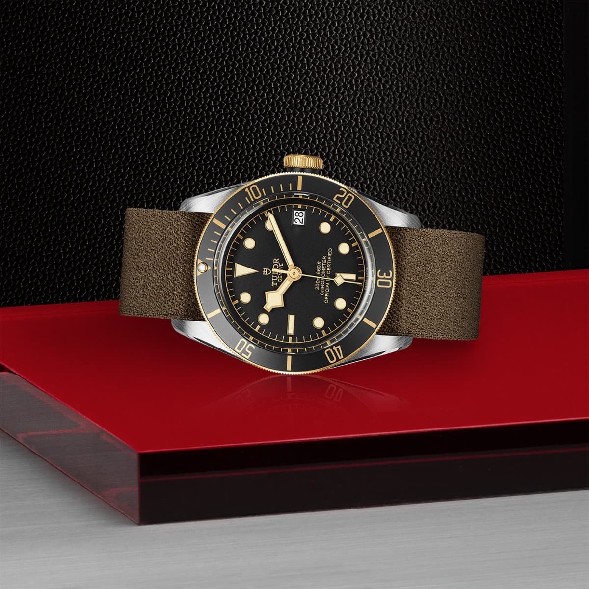 TUDOR Black Bay S&G 3