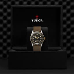TUDOR Black Bay S&G
